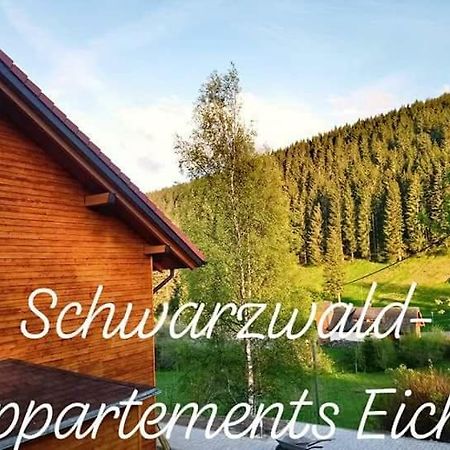 Black Forest Apartements By Hotel Gruener Baum Feldberg فيلدبرج المظهر الخارجي الصورة