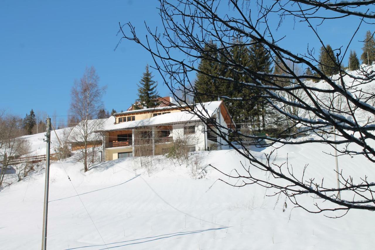Black Forest Apartements By Hotel Gruener Baum Feldberg فيلدبرج المظهر الخارجي الصورة