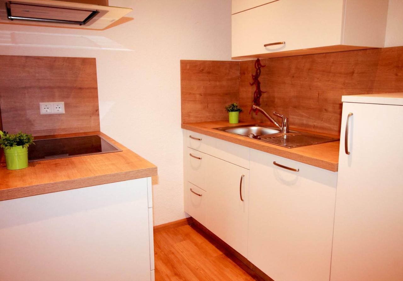 Black Forest Apartements By Hotel Gruener Baum Feldberg فيلدبرج المظهر الخارجي الصورة