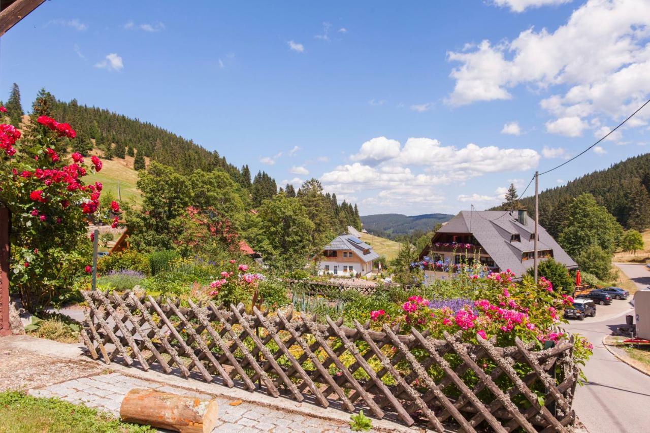Black Forest Apartements By Hotel Gruener Baum Feldberg فيلدبرج المظهر الخارجي الصورة