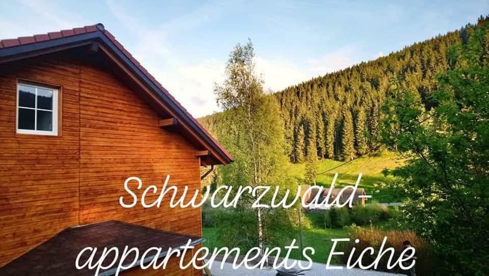 Black Forest Apartements By Hotel Gruener Baum Feldberg فيلدبرج المظهر الخارجي الصورة