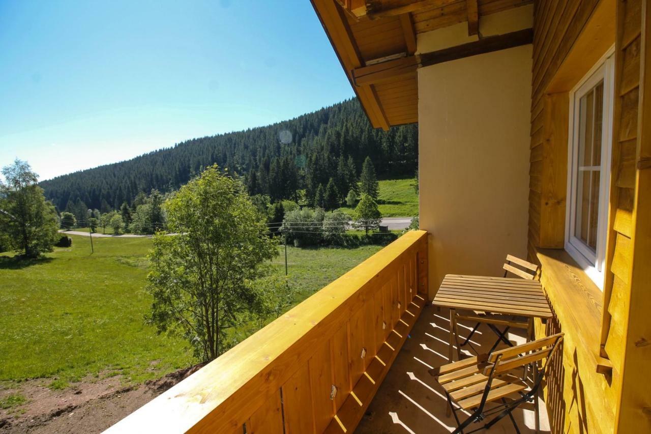 Black Forest Apartements By Hotel Gruener Baum Feldberg فيلدبرج المظهر الخارجي الصورة