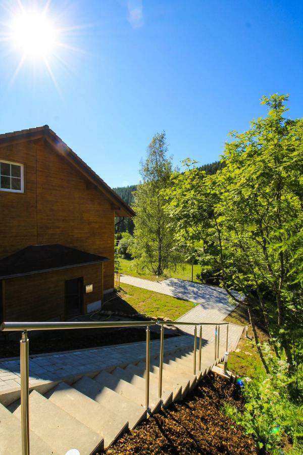 Black Forest Apartements By Hotel Gruener Baum Feldberg فيلدبرج المظهر الخارجي الصورة