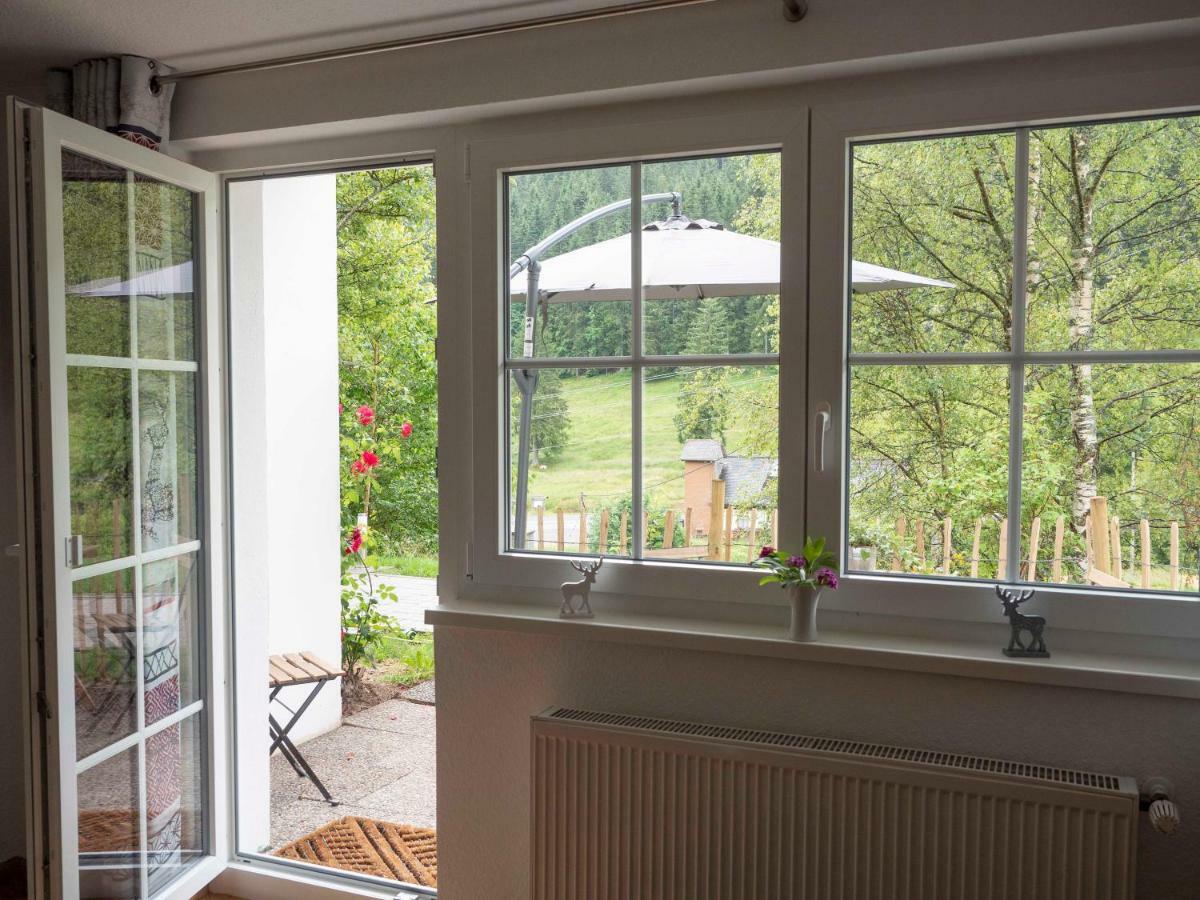 Black Forest Apartements By Hotel Gruener Baum Feldberg فيلدبرج المظهر الخارجي الصورة